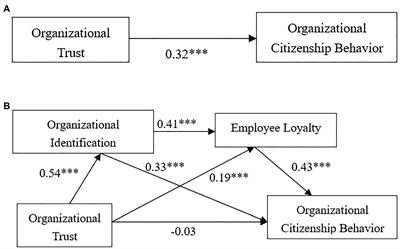 How organizational trust impacts organizational citizenship behavior: Organizational identification and employee loyalty as mediators